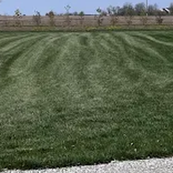 TruGreen Lawn Care - Help feed growing turf with lawn fertilizer applications from TruGreen in Monroeville, PA, and nearby Penn Hills. - Lawn Services Near Me - Monroeville, Pennsylvania TruGreen Lawn Care - Help feed growing turf with lawn fertilizer applications from TruGreen in Monroeville, PA, and nearby Penn Hills. - Lawn Services Near Me - Monroeville, Pennsylvania
