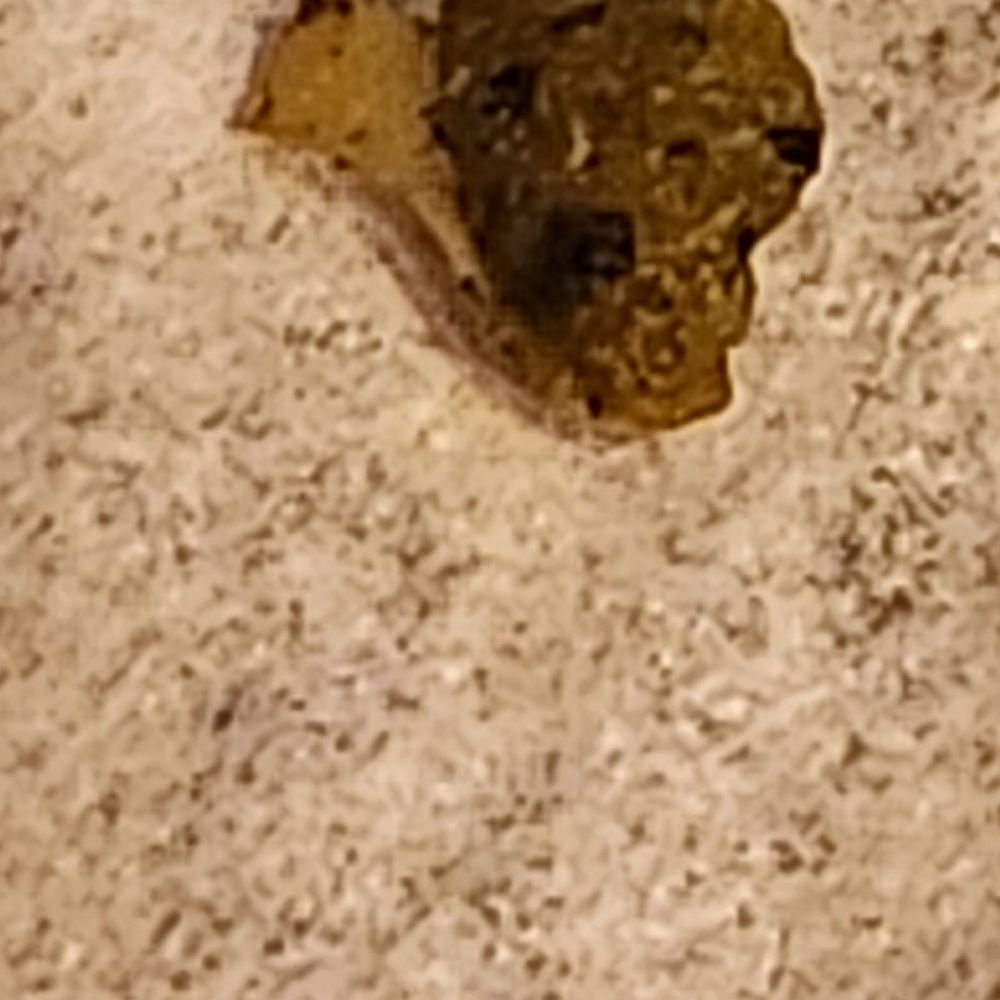 Arby's - This was inside the wrapper of the crispy fish sandwich. It looks like a booger. It was also smooshy like a booger. - Fast Food Near Me - North Canton, Ohio