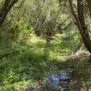 Serrano Creek Park - Creek along the trail - - Parks Near Me - Lake Forest, California Serrano Creek Park - Creek along the trail - - Parks Near Me - Lake Forest, California