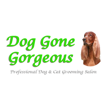 Dog Gone Gorgeous - Pet Groomers Near Me - Canton, Massachusetts