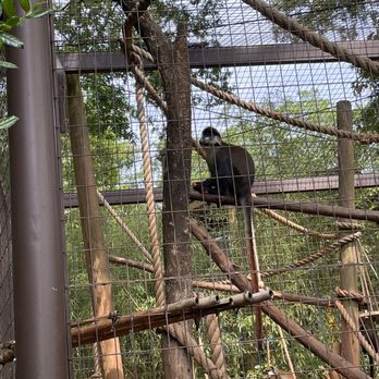 Greenville Zoo - Zoos Near Me - Greenville, South Carolina