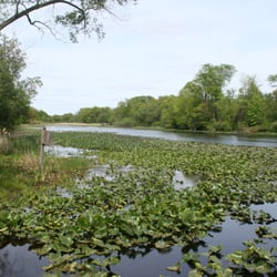 Scotts Mill Park - Mill pond
