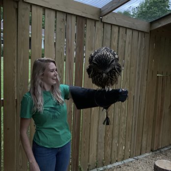 Raptor Hill Falconry - This is Aurora! - Specialty Schools Near Me - Stanley, Virginia