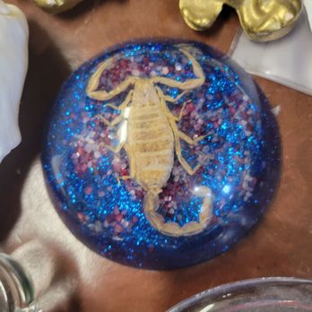 D Haberdashery - A couple scorpions under glass paperweights were here. I do like the blue bling to this one. - Accessories Near Me - Tacoma, Washington D Haberdashery - A couple scorpions under glass paperweights were here. I do like the blue bling to this one. - Accessories Near Me - Tacoma, Washington