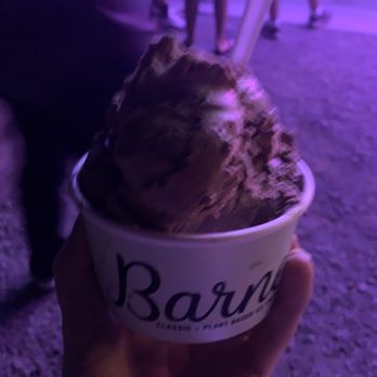 Boxcar Barney's - Small - Ice Cream & Frozen Yogurt Near Me - Mayville, New York
