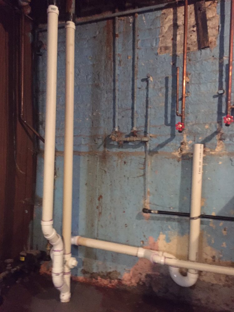 Slide of Master Rooter