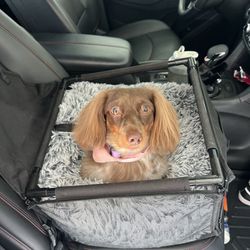 Dapper Dogs Grooming