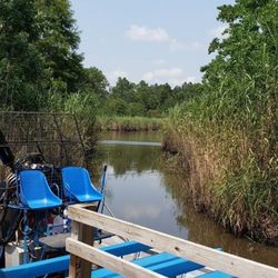 Gulf Coast Gator Ranch & Tours