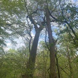 Nature Nature