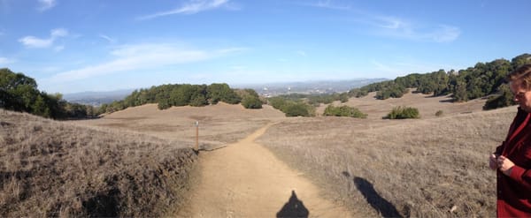 Taylor Mountain Regional Park by null