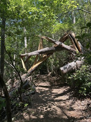 Paris Mountain State Park by null