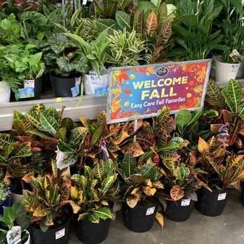 The Home Depot - Large selection of plants here at great prices - Hardware Stores Near Me - Chula Vista, California The Home Depot - Large selection of plants here at great prices - Hardware Stores Near Me - Chula Vista, California