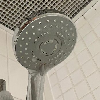 EF Educational Tours - Mold on shower - Historical Tours Near Me - Cambridge, Massachusetts