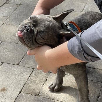PUCCI Café - Love and cuddles at Pucci! - Pet Stores Near Me - Katy, Texas PUCCI Café - Love and cuddles at Pucci! - Pet Stores Near Me - Katy, Texas