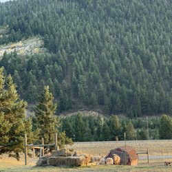 Earth Angel Health Mine - The view from my cabin porch.