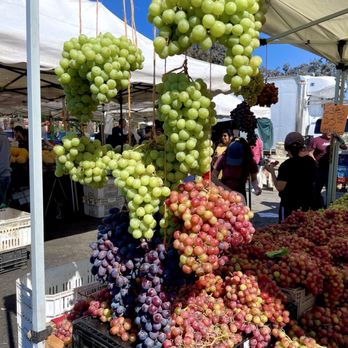 Newark Farmers Market - Summer Grapes - Farmers Market Near Me - Newark, California Newark Farmers Market - Summer Grapes - Farmers Market Near Me - Newark, California