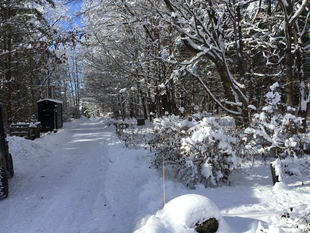 SHANGRILA RENTALS 30 Photos 5347 State Route 53, Naples, New York