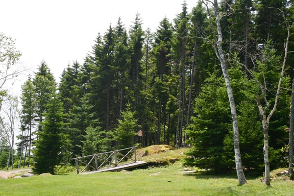 Goose Cove Resort by null