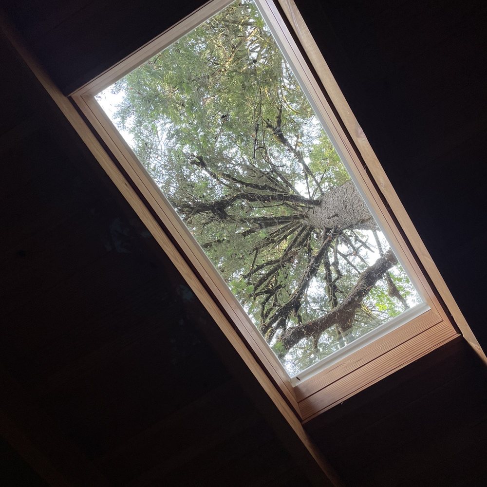 TreeHouse Point - Skylight above the bed in temple of the blue moon. - Bed & Breakfast Near Me - Issaquah, Washington TreeHouse Point - Skylight above the bed in temple of the blue moon. - Bed & Breakfast Near Me - Issaquah, Washington