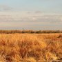 Photo of Great Valley Grasslands State Park