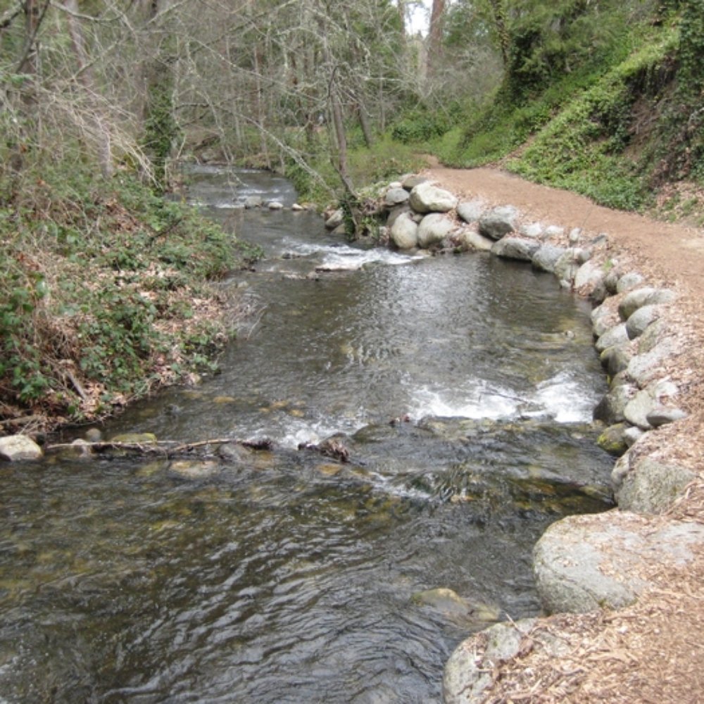 Lithia Park - Parks Near Me - Ashland, Oregon Lithia Park - Parks Near Me - Ashland, Oregon