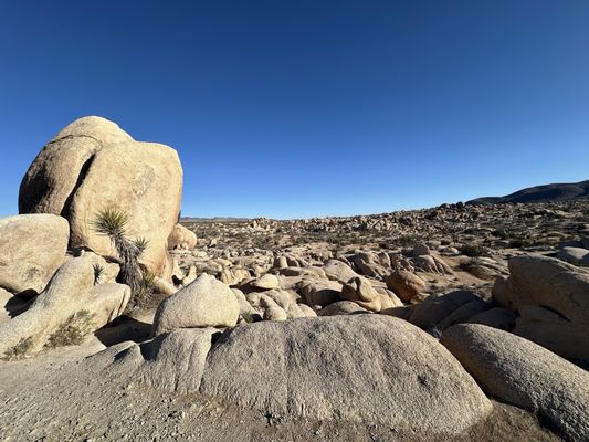 White Tank Campground by null