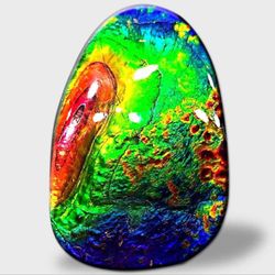 Ammolite Museum