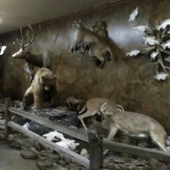 Wally's - And bears, mountain lions, ferrats and other furry little animals - American Near Me - Charleston, Missouri