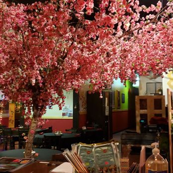 Sushi Village - Cute fake tree as you enter the restaurant - Japanese Near Me - Springfield, Missouri