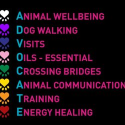 Healing Art of Reiki for Pets - Available Services
