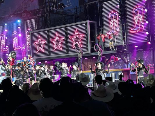 Calgary Stampede by null