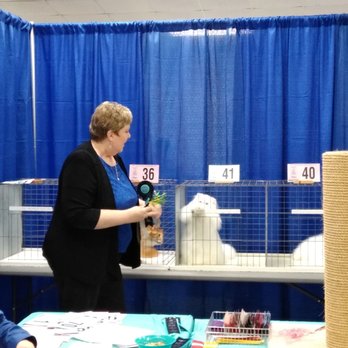 Cleveland County Fairgrounds - Persian wanting to play! - Venues & Event Spaces Near Me - Norman, Oklahoma