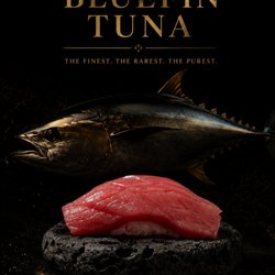 BLUEFIN TUNA