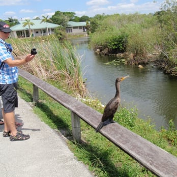 Anhinga Trail - Hiking Near Me - Homestead, Florida Anhinga Trail - Hiking Near Me - Homestead, Florida