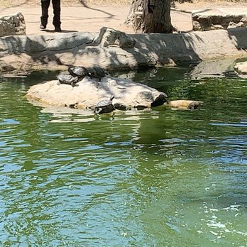 Hopkins Wilderness Park - Parks Near Me - Redondo Beach, California