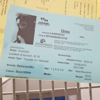 Idaho Humane Society - Adoption paperwork - Animal Shelters Near Me - Boise, Idaho