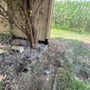 Photo of Mayo and Sons Landscaping and Trees