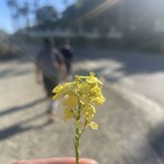 Photo of Escondido Canyon Park - Malibu, CA, United States