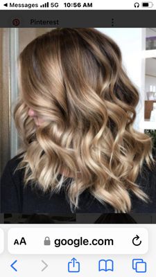 FAQ's - Q. Can I bring my dog?
A. If they are on a leash and they are well behaved 
Q. Is there two people that work at the salon? 
A. No. It's just Elizabeth the owner (formerly known as Lisa)
Q. Do you always ask for a photo?
A. Yes! I can copy any photo you bring (haircut, color, style)
Q. Is there parking?
A. Yes on Clairmont or Domingo and there's meters in front of salon (2 Hour Meter)
Q. What kinds of payments do you take?
A. Everything!
Q. What type of hair do work with?
A. I am highly skilled in all types of hair
Q. How long have you been doing hair?
A. I started when I was 15
Q. How many years have you been in business?
A. 26 years 
Q. Do you run on time?
A. Yes 
Q. How long does an appointment take?
A. I am very efficient
Q. Do you cut children's hair?
A. Yes. 35 years of experience