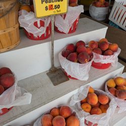 Local Abbott Farms Freestone Peaches. $10.50 per 1/2 peck at the Gaffney, SC location. I-85 Exit 92.