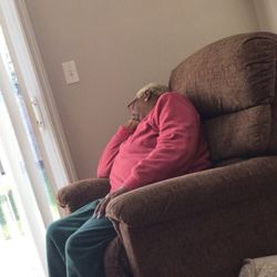 Nannys For Grannys - What a helpful "aide"