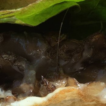 Dad's Luncheonette - Yes, that's a hair right in the middle of my mushroom sandwich. - New American Near Me - Half Moon Bay, California Dad's Luncheonette - Yes, that's a hair right in the middle of my mushroom sandwich. - New American Near Me - Half Moon Bay, California