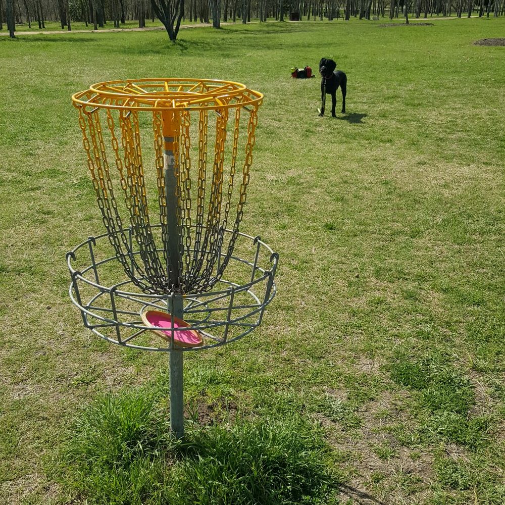 Northtown Park and Disc Golf Course - Basket for hole #1. Camera view is facing the direction to walk to the tee pad for hole #2. - Disc Golf Near Me - Pflugerville, Texas Northtown Park and Disc Golf Course - Basket for hole #1. Camera view is facing the direction to walk to the tee pad for hole #2. - Disc Golf Near Me - Pflugerville, Texas
