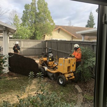 Stumpman - Tree Services Near Me