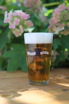 Liberty Garden by null