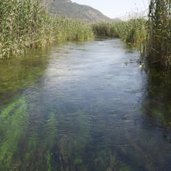 Frauenfluss bei Akyaka