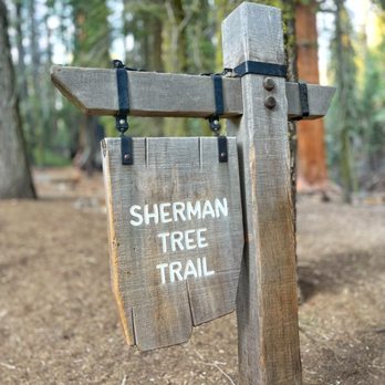 General Sherman Tree - Hiking Near Me - Sequoia National Park, California General Sherman Tree - Hiking Near Me - Sequoia National Park, California