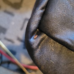 J&B Pest Control