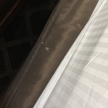 Quality Inn Eureka - Redwoods Area - Possibly vomit on the bed skirt which looks like whatever is on the wall. - Hotels Near Me - Eureka, California Quality Inn Eureka - Redwoods Area - Possibly vomit on the bed skirt which looks like whatever is on the wall. - Hotels Near Me - Eureka, California