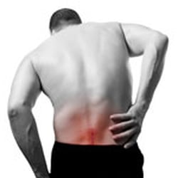 Sciortino Chiropractic